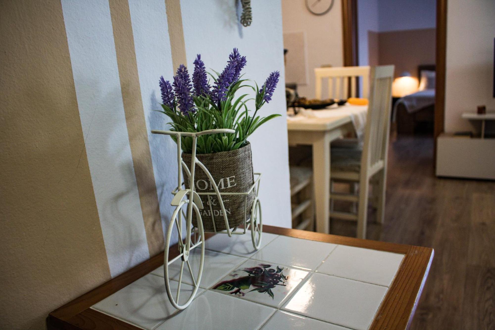 Angie'S Perfect Location Flat - Walk To Sights Tirana Exteriör bild